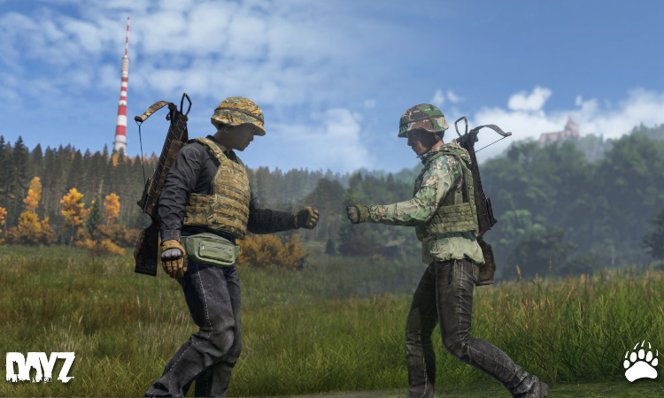 Miniaturka DayZ: DLC Livonia za darmo! | Połączenie rozszerzenia z grą podstawową | Promocja